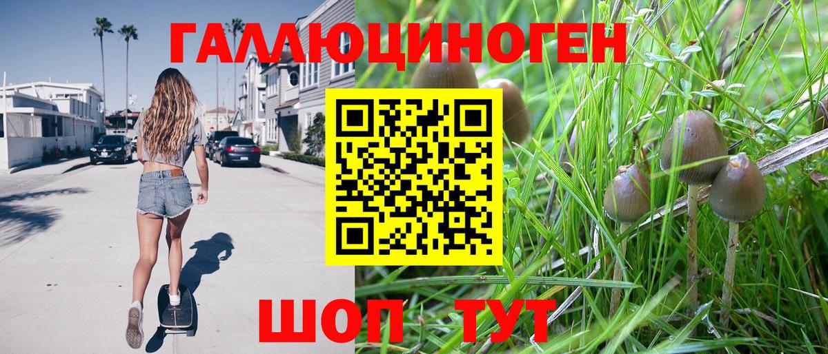 Галлюциногенные грибы ЛСД Верхняя Пышма
