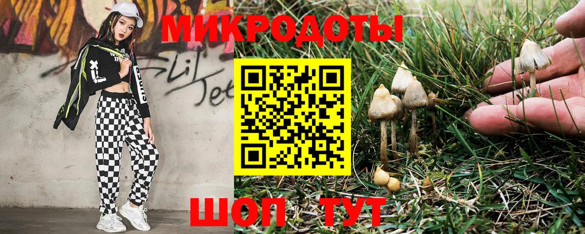 Верхняя Пышма  Псилоцибиновые грибы мухоморы  Псилоцибиновые грибы Psilocybine cubensis  Вход с VPN 